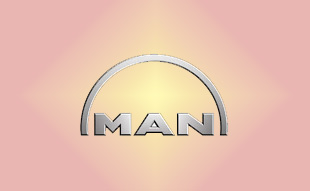 ✓ MAN 51.02500.6270 Запчасти МАН (MAN) 